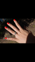 IMG_3722.PNG