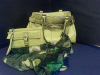 Coach Bag SET.jpg