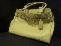 Coach Bag Front.jpg