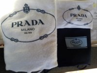 prad11.jpg