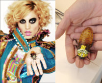 Roachie.jpg