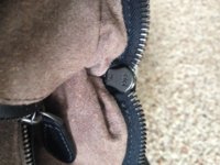 image.jpeg