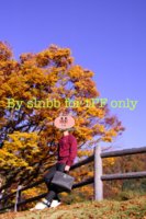 IMG_9900.JPG
