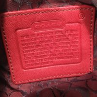 IMG_2604.jpeg