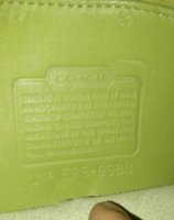 1999_B-plant-US-QUEST_E9B-9988-a.jpg