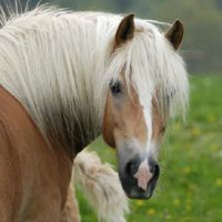 ImageUploadedByPurseForum1479622570.280137.jpg