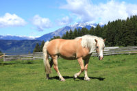ImageUploadedByPurseForum1479622581.418540.jpg