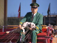 ImageUploadedByPurseForum1479821547.507063.jpg