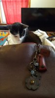 Resized_20161123_161237.jpeg
