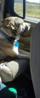 thanksgiving 2016 car ride.jpg