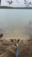 1st advent hike 2016_resized.jpg