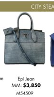 ImageUploadedByPurseForum1480309505.089344.jpg