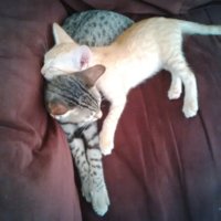 IMG_20161127_134946.jpg