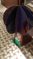 IMG_1481332854.980241.jpg