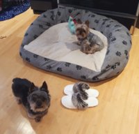 20161210_075903.jpg