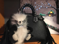 ImageUploadedByPurseForum1481426146.175964.jpg