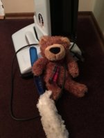 IMG_1481478214.427131.jpg