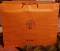 h bag_resized.jpg