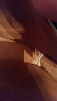 20161218_171504.jpg