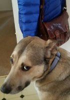 coat+bag=walk.jpg