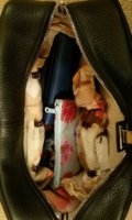 inner vicster, scarf & hair clips.jpg