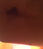 IMG_1482546009.578980.jpg