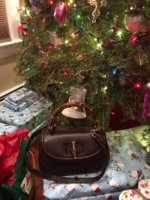 IMG_1482631638.057954.jpg