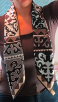Appaloosa a.jpg