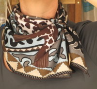 Appaloosa gray.jpg
