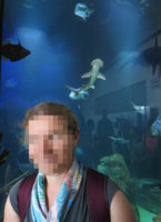 UTW HDM shark.jpg