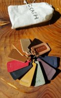 Coach color swatches A.jpg