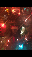 IMG_9513.PNG
