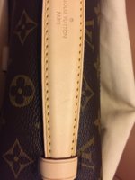 IMG_1483440018.186106.jpg