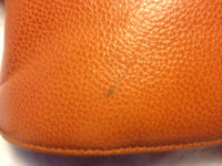 IMG_2169sm.jpg