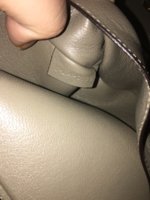 IMG_1484225666.523066.jpg