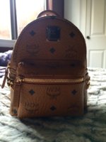 ImageUploadedByPurseForum1484252065.373273.jpg