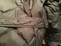 image.jpeg