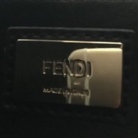 fendi 1.jpeg