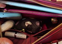 thumbnail_IMG_20170118_133623.jpg