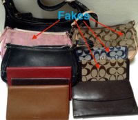 *zooangels* lot listing with fake coach 4.jpeg