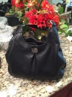 IMG_1485209618.756128.jpg