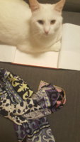 20170124_234320.jpg