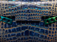 Delvaux 6.png