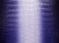 delvaux 18.png