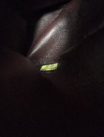 IMG_1485480206.725138.jpg