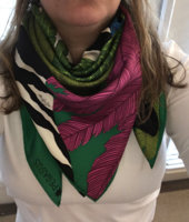 Zebra Pegasus Green.jpg