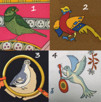 bird quiz 4.jpg