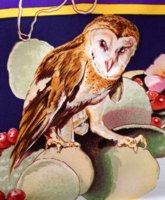 TWbirds - 2.jpg TWbirds - 2.jpg