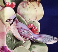 TWbirds - 3.jpg TWbirds - 3.jpg