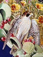 TWbirds - 5.jpg TWbirds - 5.jpg